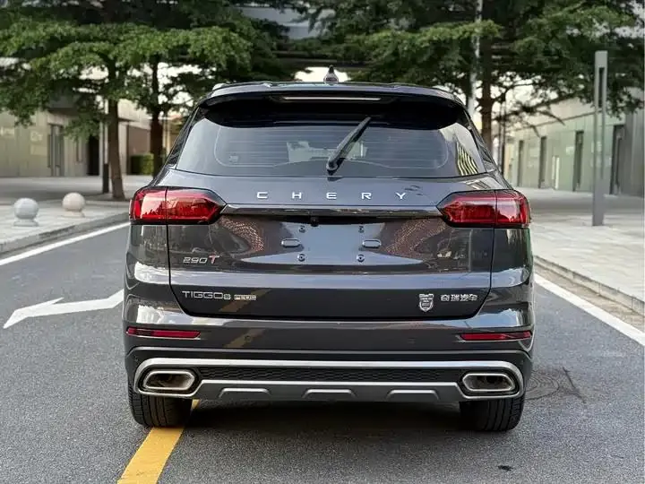 Ruihu 8 PLUS 2021 290TGDI DCT Premium Edition 5
