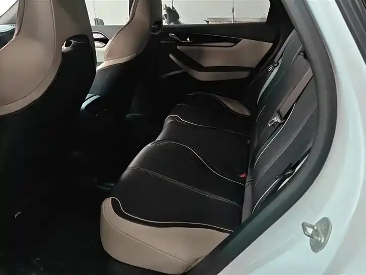 Qin PLUS 2021 DM-i 55KM flagship 11