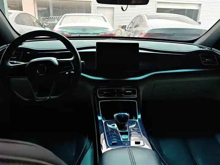 Qin PLUS 2021 DM-i 55KM flagship 12