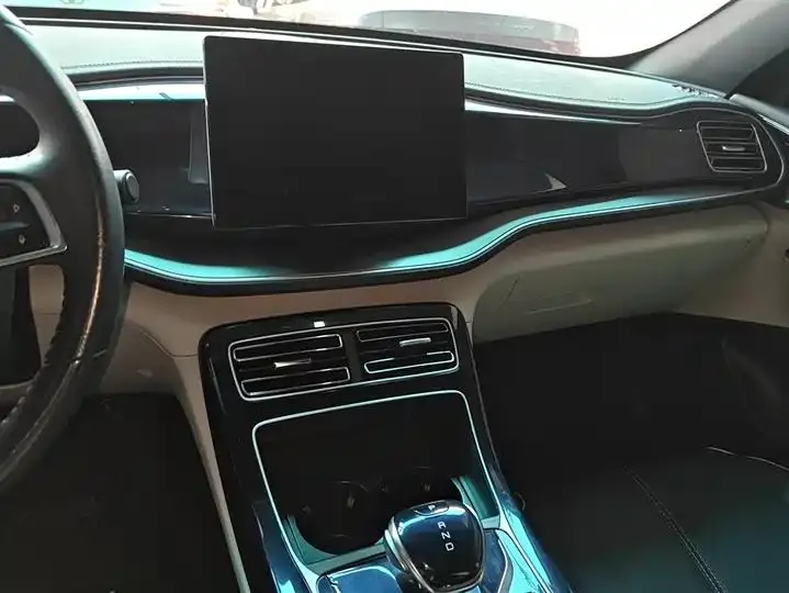 Qin PLUS 2021 DM-i 55KM flagship 13