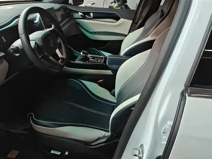 Qin PLUS 2021 DM-i 55KM flagship 9