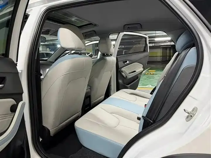 Ruihu 3x 2022 Diamond Edition 1.5L CVT 3 karat Type I 8