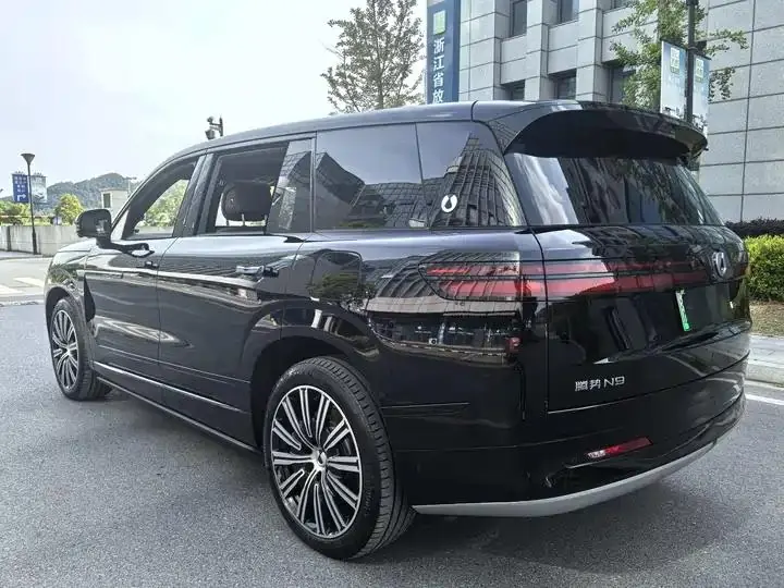 Denza N9 2025 Flagship 8