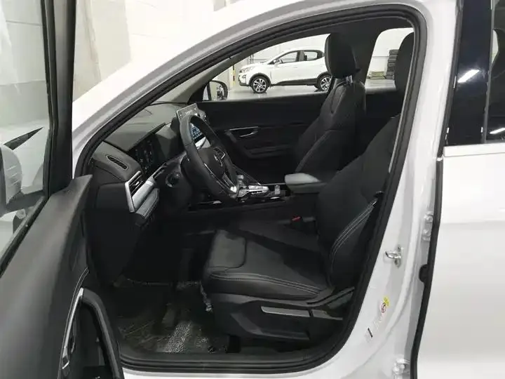 Song Pro 2019 1.5T Auto Luxury Model 10