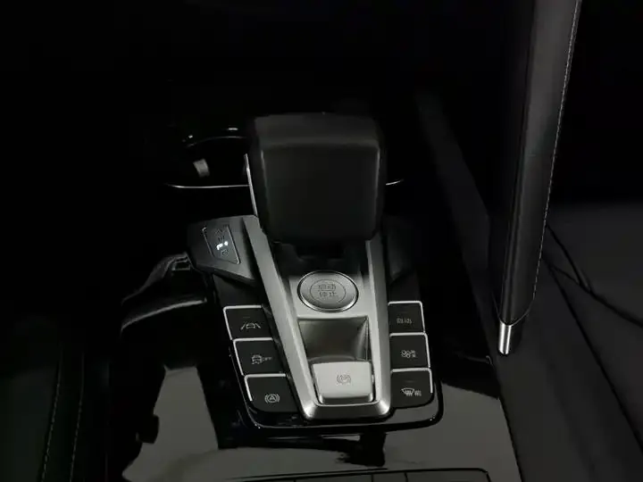 Song Pro 2019 1.5T Auto Luxury Model 13
