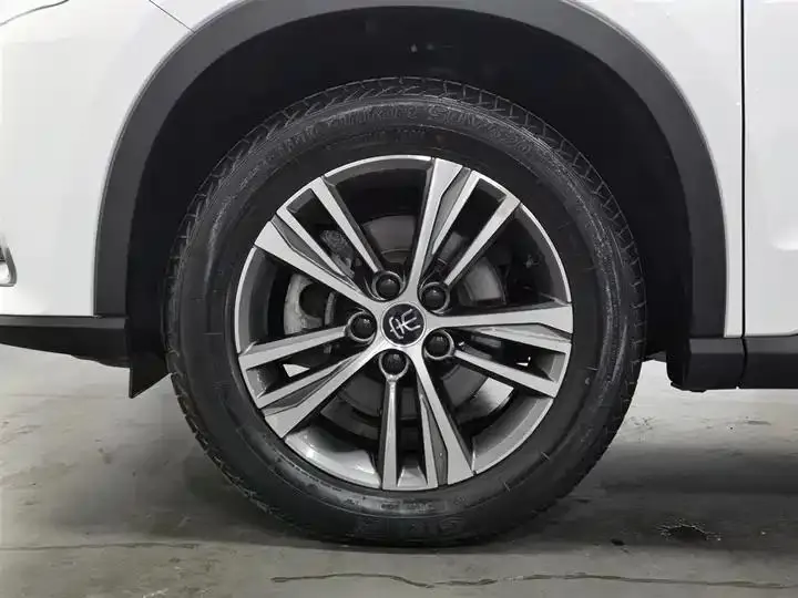 Song Pro 2019 1.5T Auto Luxury Model 17