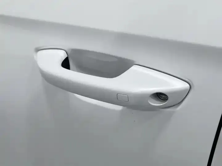Song Pro 2019 1.5T Auto Luxury Model 18