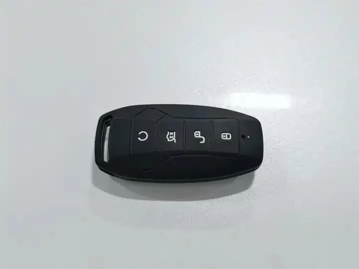 Song Pro 2019 1.5T Auto Luxury Model 19