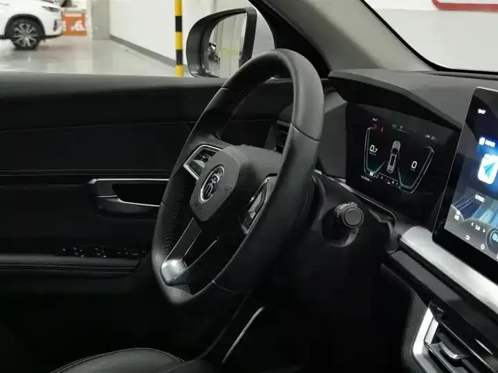 Song Pro 2019 1.5T Auto Luxury Model 22