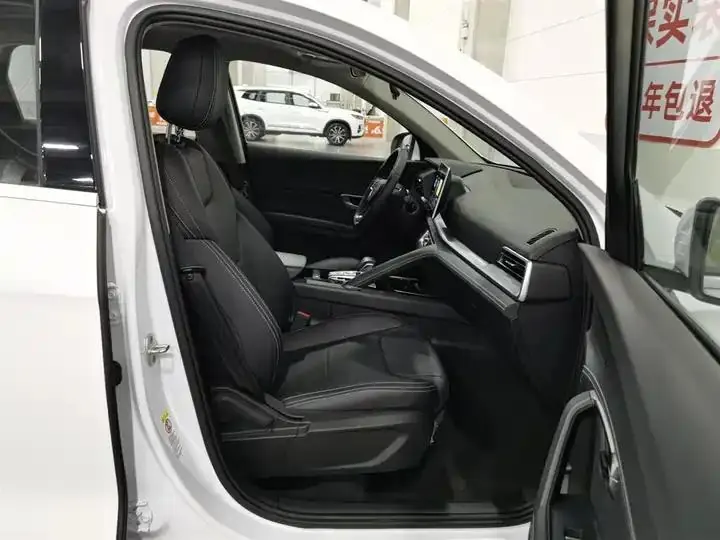 Song Pro 2019 1.5T Auto Luxury Model 23