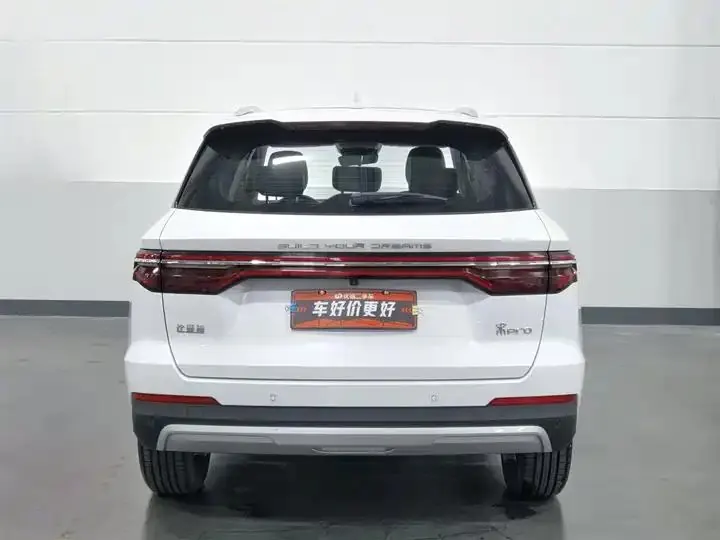 Song Pro 2019 1.5T Auto Luxury Model 4