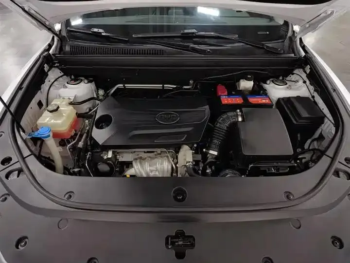 Song Pro 2019 1.5T Auto Luxury Model 6