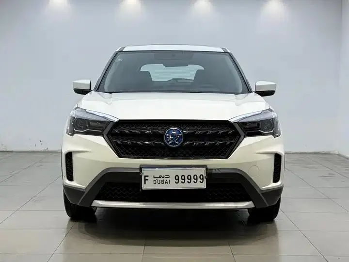 Venucia T60 2022 1.6L CVT Smart Edition 2