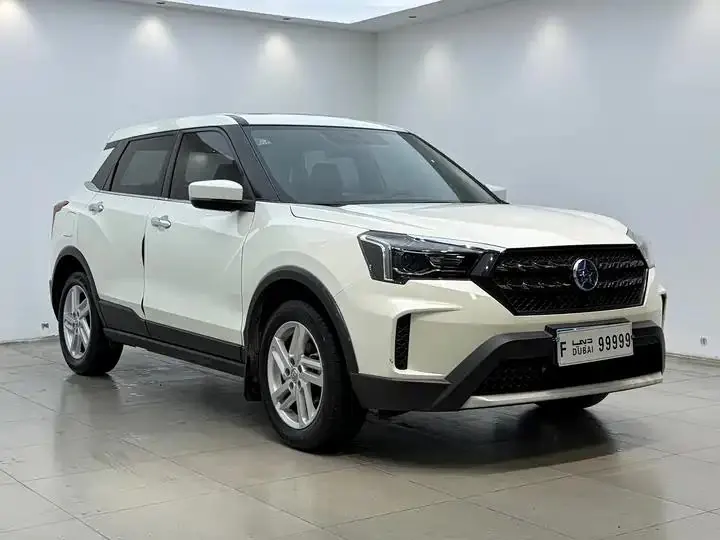 Venucia T60 2022 1.6L CVT Smart Edition 3