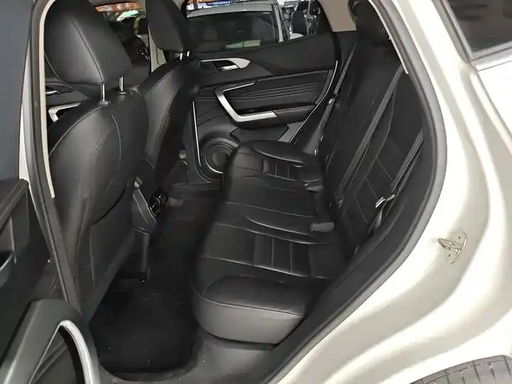 WEY VV5 2020 1.5T Two-wheel Drive Pioneer 17