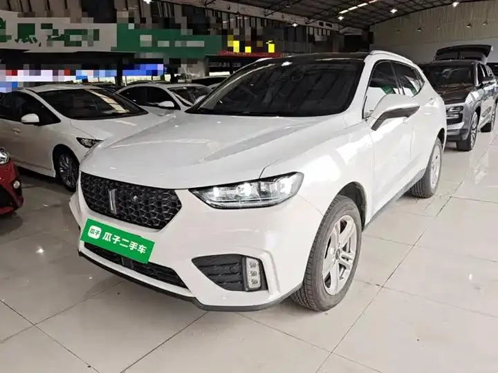 WEY VV5 2020 1.5T Two-wheel Drive Pioneer 2