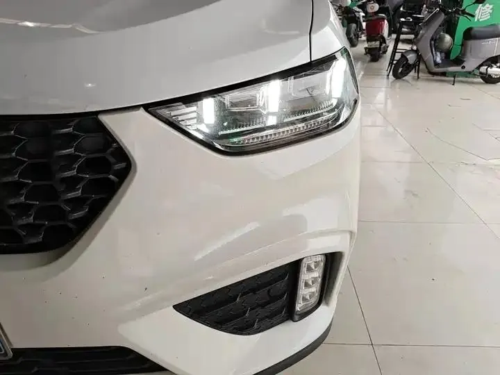 WEY VV5 2020 1.5T Two-wheel Drive Pioneer 24