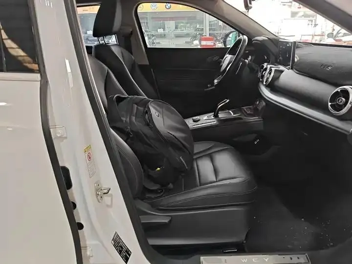 WEY VV5 2020 1.5T Two-wheel Drive Pioneer 25