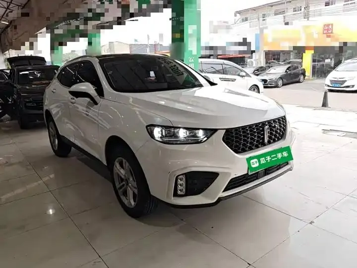 WEY VV5 2020 1.5T Two-wheel Drive Pioneer 4