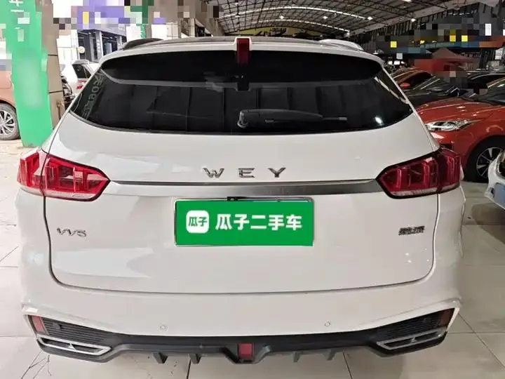 WEY VV5 2020 1.5T Two-wheel Drive Pioneer 6