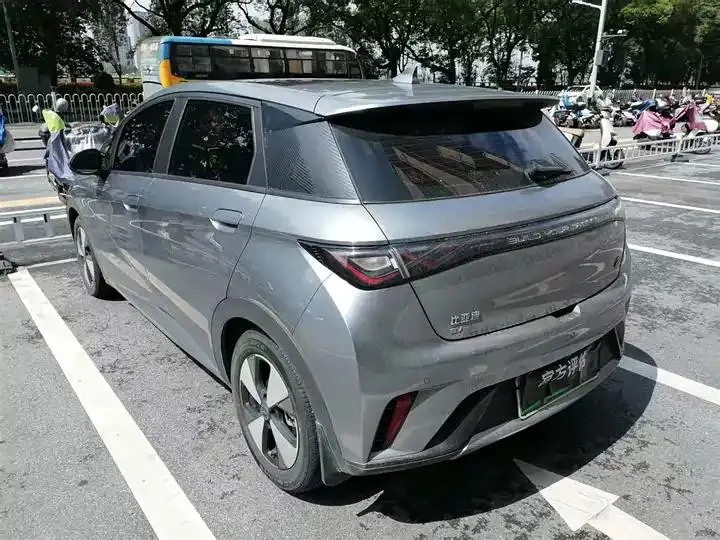 Dolphin 2023 420km Fashion Edition 3