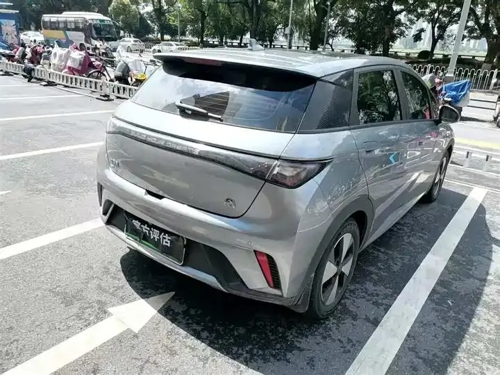 Dolphin 2023 420km Fashion Edition 5