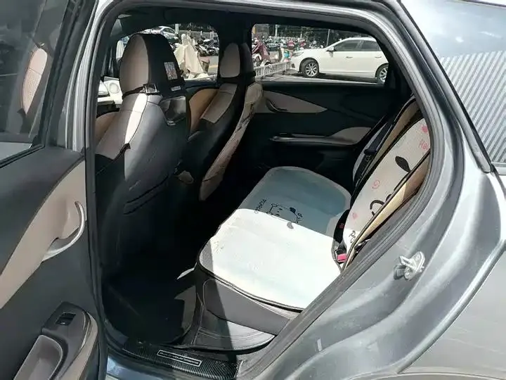 Dolphin 2023 420km Fashion Edition 6