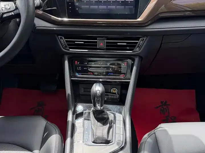 Tougu 2022 280TSI Two-Wheel-Drive Luxury Edition 10