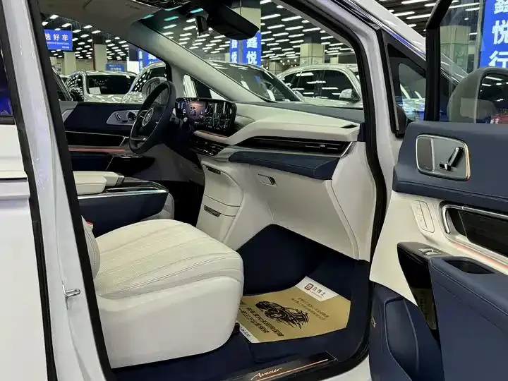 Century 2023 2.0T Six-seat World Edition 10