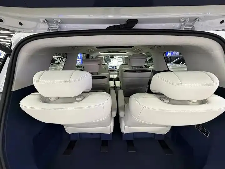Century 2023 2.0T Six-seat World Edition 15