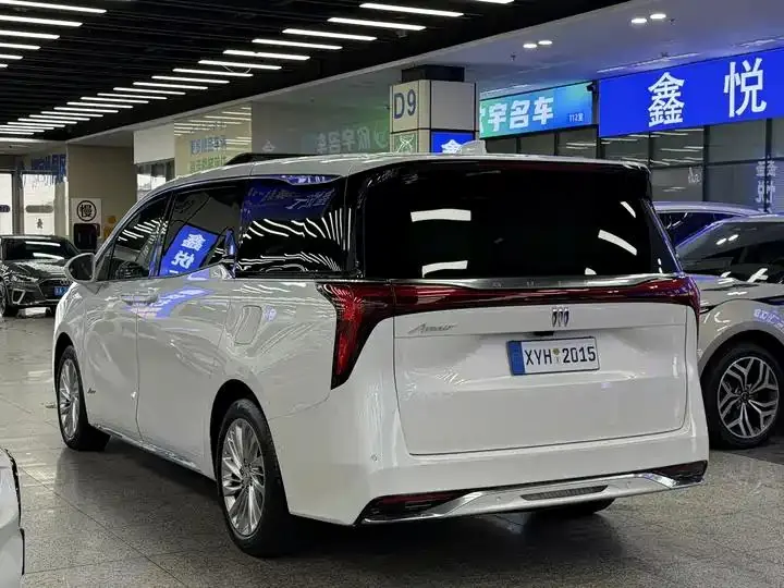 Century 2023 2.0T Six-seat World Edition 18