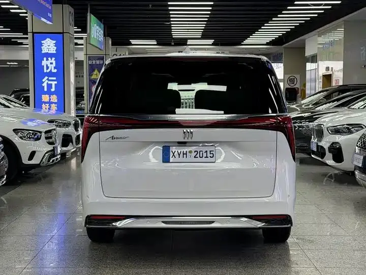 Century 2023 2.0T Six-seat World Edition 19