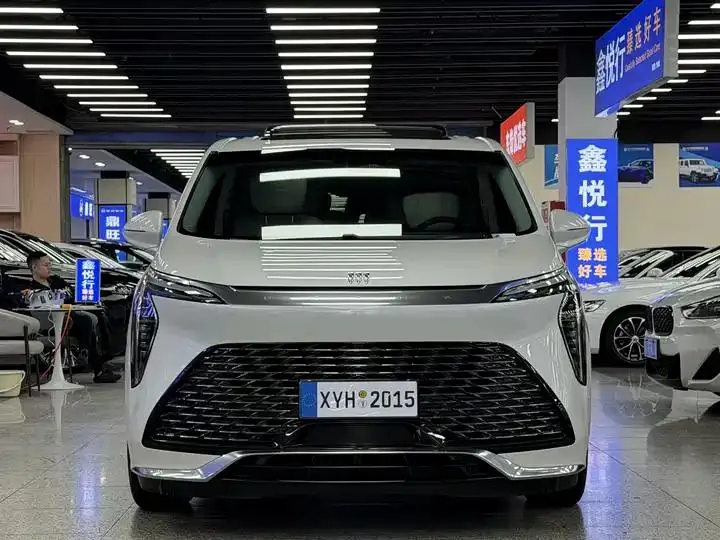 Century 2023 2.0T Six-seat World Edition 2