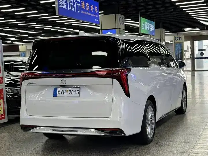 Century 2023 2.0T Six-seat World Edition 20