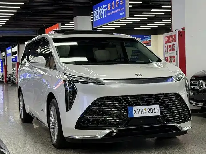 Century 2023 2.0T Six-seat World Edition 3