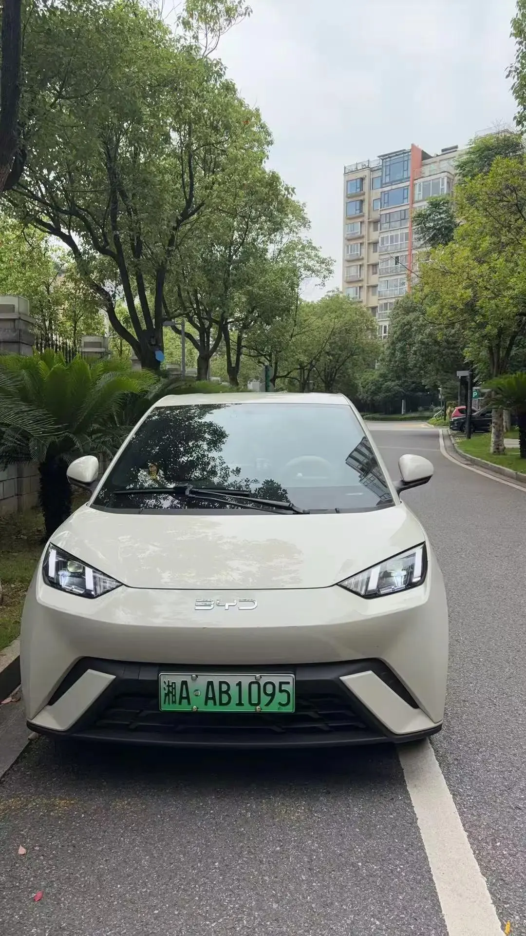 BYD 2024 Seagull Glory Edition 405km Flying Edition Automatic Gear 3