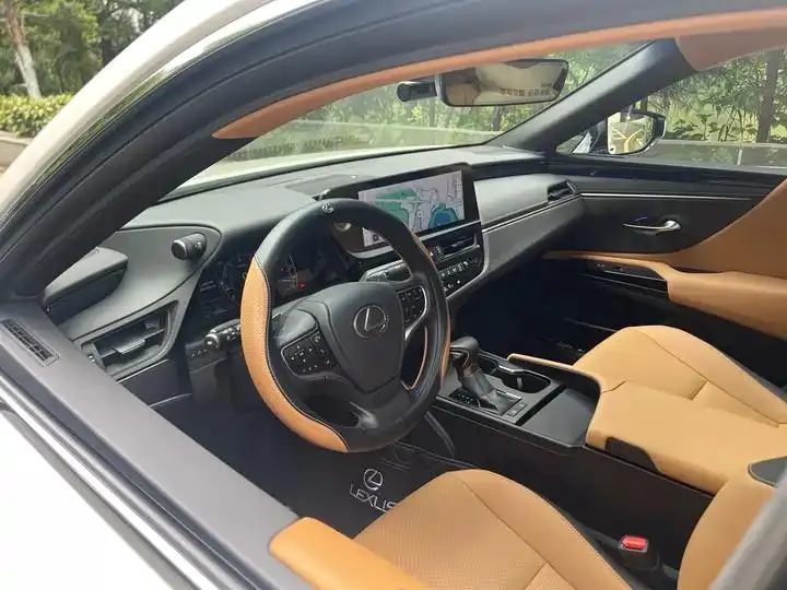 Lexus ES 2023 model 200 Premium Edition 13