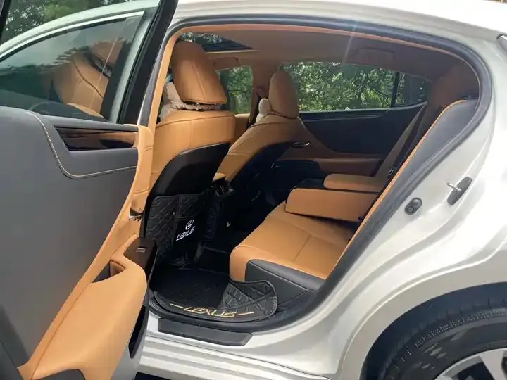 Lexus ES 2023 model 200 Premium Edition 15