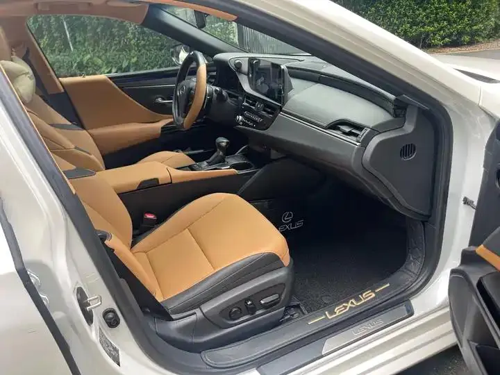 Lexus ES 2023 model 200 Premium Edition 17