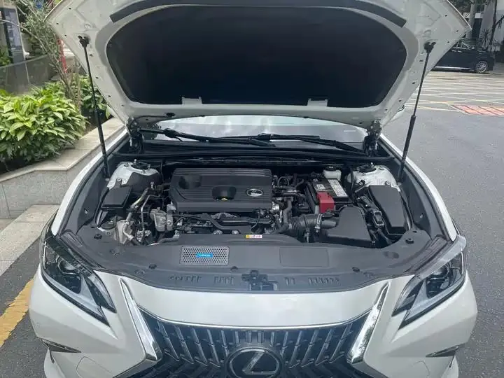 Lexus ES 2023 model 200 Premium Edition 22