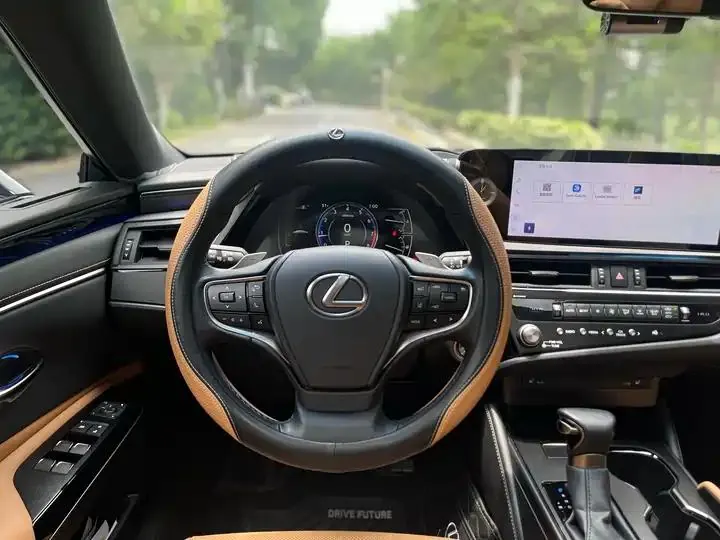 Lexus ES 2023 model 200 Premium Edition 8