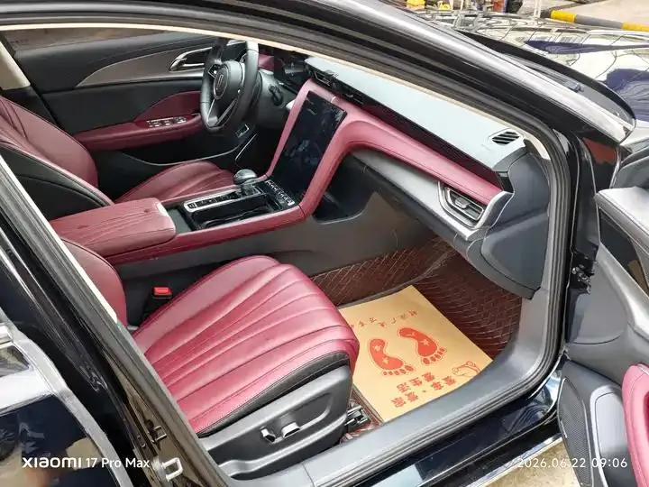 HongQi H5 2023 2.0T Auto Zhilian Flag Edition 8