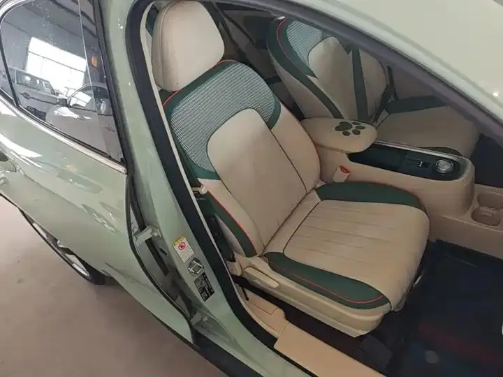 Ora Good Cat 2022 Morandi Edition 400km Standard Endurance Luxury Ternary Lithium 25