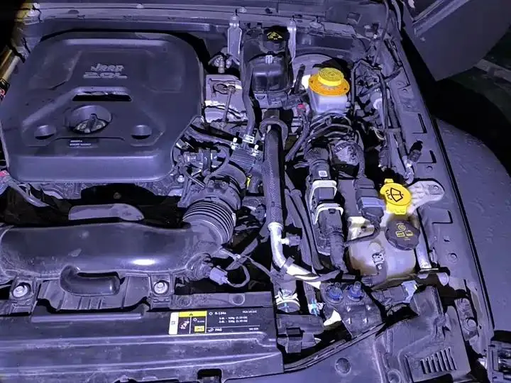 Wrangler 2021 2.0T Sahara Four-door Edition 22