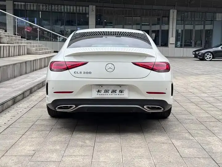 Mercedes Benz CLS 2022 CLS 300 Luxury 5