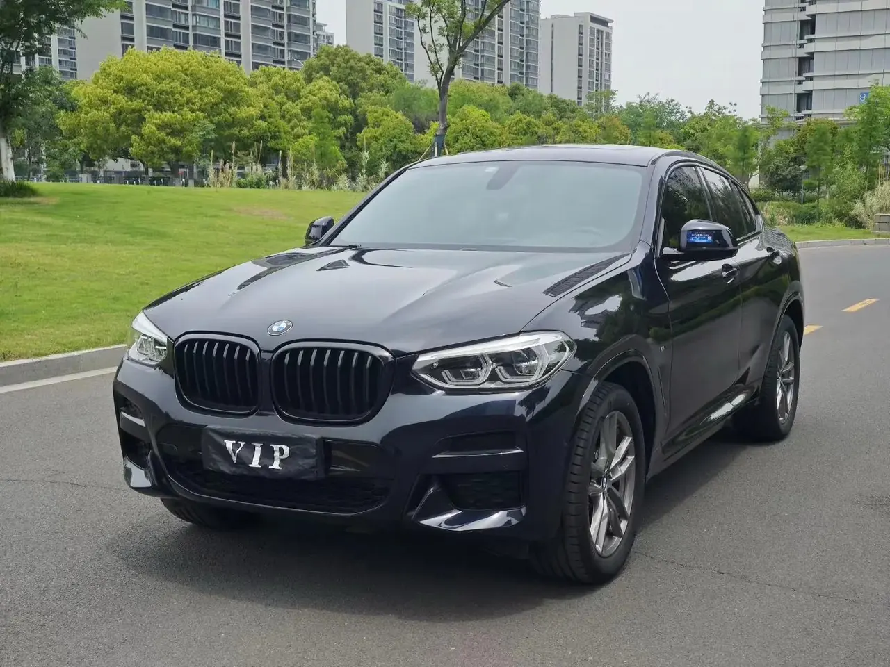 BMW X4 2020 xDrive25i M Sport Set - View 1