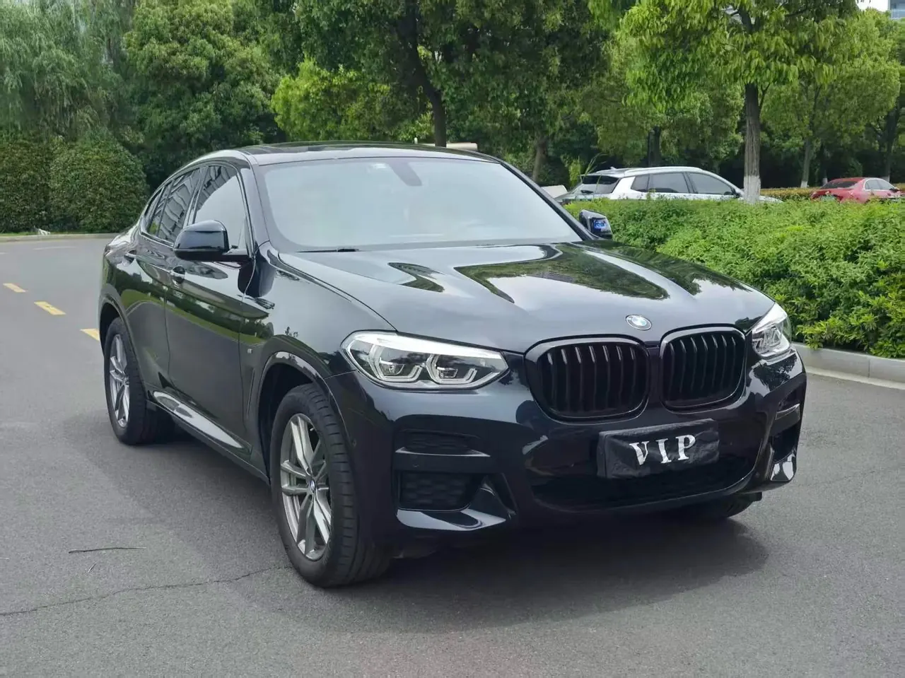 BMW X4 2020 xDrive25i M Sport Set 10