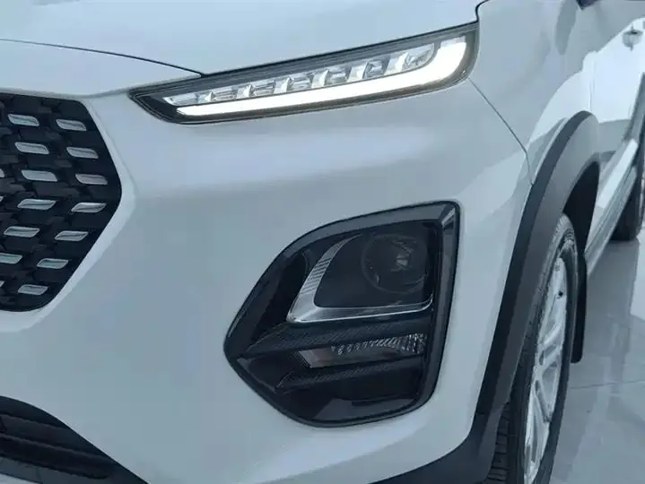 Ruihu 3x 2020 Quality Edition 1.5L CVT Deluxe Edition 5