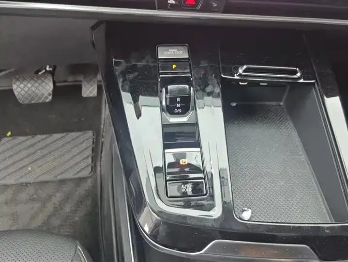 Luanjing 2021 330TSI Two-Drive Deluxe Edition 16