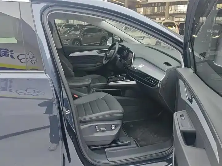 Luanjing 2021 330TSI Two-Drive Deluxe Edition 8